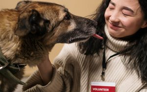 a young woman with a dog, dog has its tongue out and the woman is smiling